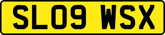 SL09WSX