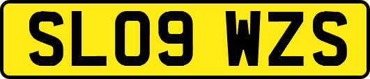 SL09WZS