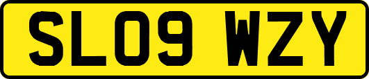 SL09WZY