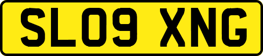 SL09XNG