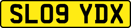 SL09YDX