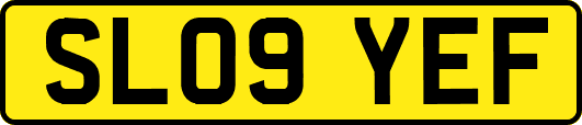 SL09YEF
