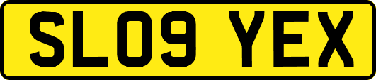SL09YEX