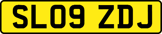 SL09ZDJ