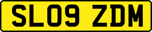 SL09ZDM