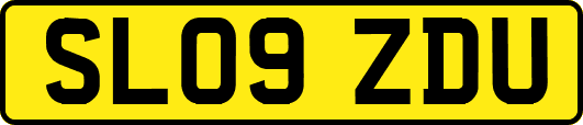SL09ZDU