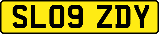 SL09ZDY