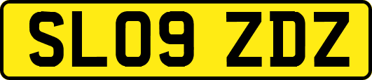 SL09ZDZ