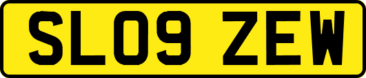 SL09ZEW