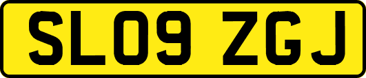SL09ZGJ