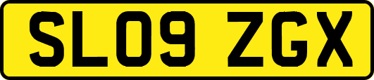 SL09ZGX