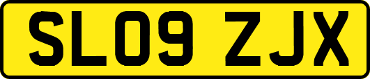 SL09ZJX