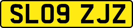 SL09ZJZ
