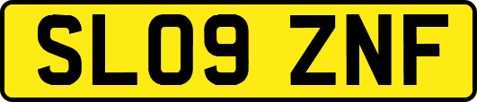 SL09ZNF