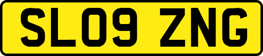 SL09ZNG