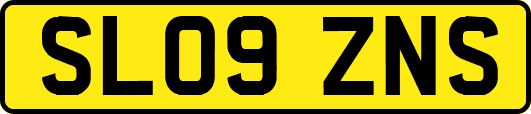 SL09ZNS