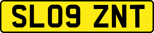SL09ZNT