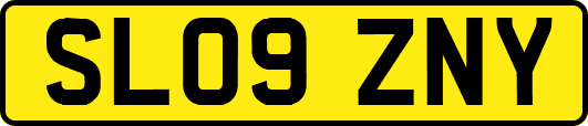 SL09ZNY