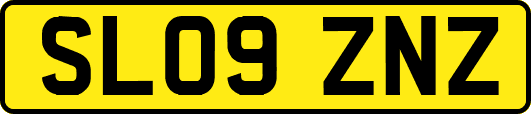 SL09ZNZ
