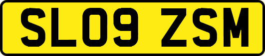 SL09ZSM