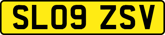 SL09ZSV