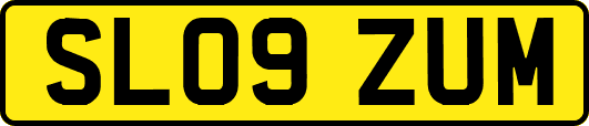 SL09ZUM