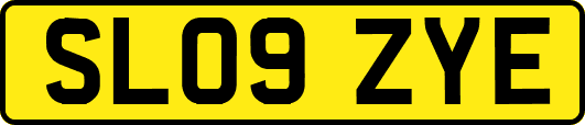 SL09ZYE