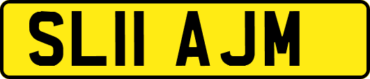 SL11AJM