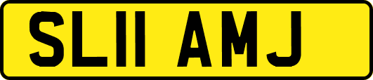 SL11AMJ