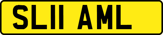 SL11AML