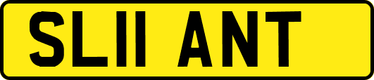 SL11ANT