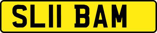 SL11BAM