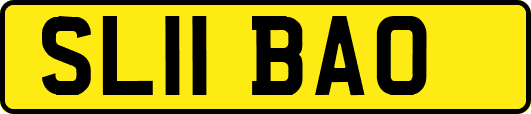 SL11BAO