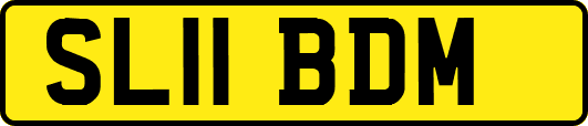 SL11BDM