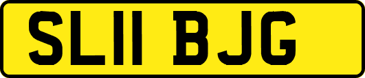 SL11BJG