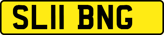 SL11BNG