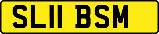 SL11BSM