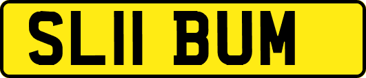 SL11BUM