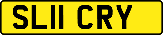 SL11CRY