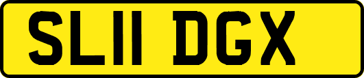 SL11DGX