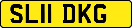 SL11DKG