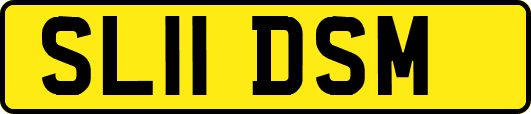 SL11DSM