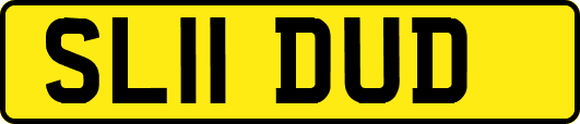 SL11DUD