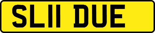 SL11DUE
