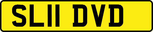 SL11DVD