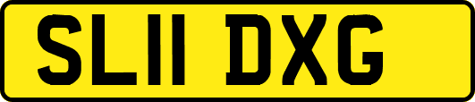 SL11DXG
