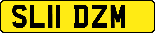 SL11DZM