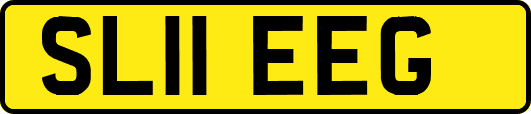 SL11EEG
