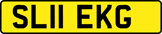 SL11EKG