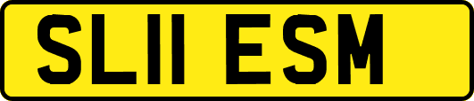 SL11ESM